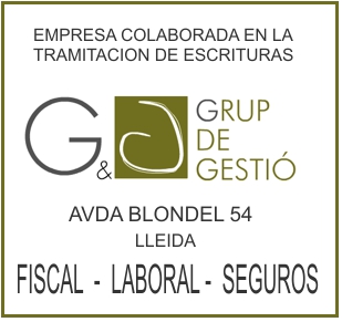 grup de gestio